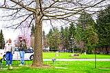 Confusion at the cemetery