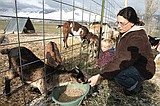 Co-op offers county fresh, locally-grown produce