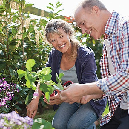 Weed Out Gardening Injuries this Spring