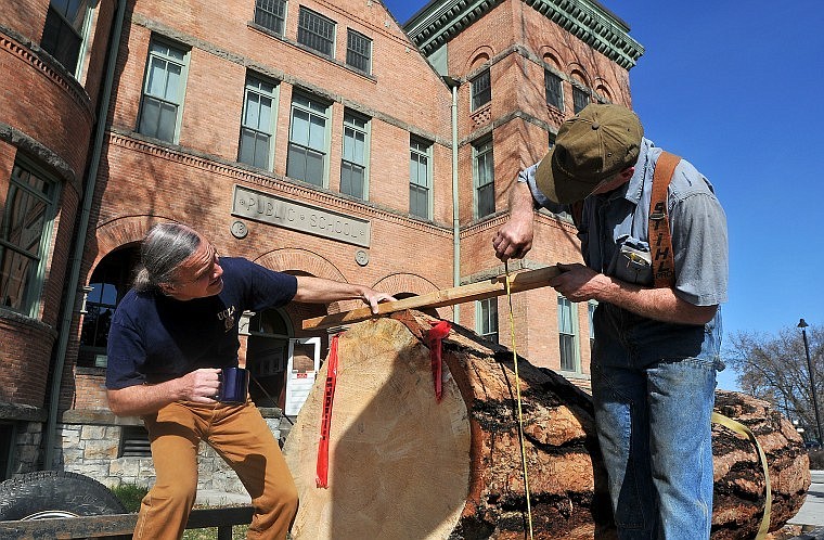 Pat Hanley, right, measures a two-ton section of a rare Indian-scarred ponderosa pine tree with Museum at Central School Director Gil Jordan. The tree was discovered by Plum Creek employee Vic Anderson on Plum Creek land west of Hubbart Reservoir and was delivered to the museum Wednesday.
