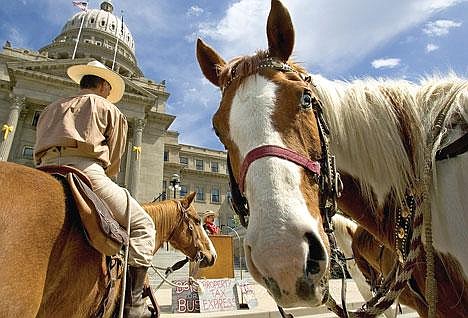 &#151;AP photo/Troy Maben&lt;br&gt;Delivering a packet of initiative petitions on the steps of the Statehouse, Sandpoint's &quot;Property Express' brought its message to limit property taxes to Boise as Pancho, a horse from Emmett, Idaho, looks around during Sunday's press conference. Staged by Bob Chenault, the president of STOP (Sensible Taxation of Property), the event was part of the group's campaign to bring statewide support for a proposed ballot measure before Idaho's legislature to limit spiraling property taxes. Former Bonner County commissioner Tom Suttmeier is shown speaking at a podium at the base of the Statehouse steps.