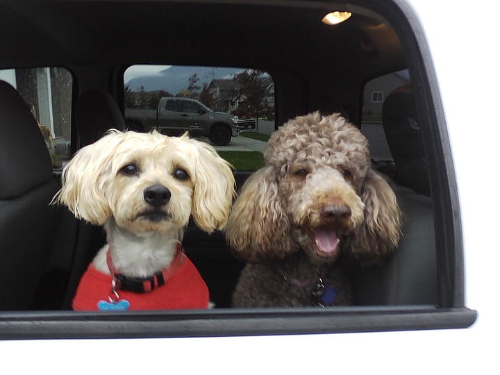 &lt;p&gt;Courtesy of Deborah Dickinson Oliver, left, and Lucy Lu go for a ride.&lt;/p&gt;