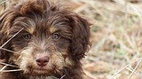 Share your favorite pet photos