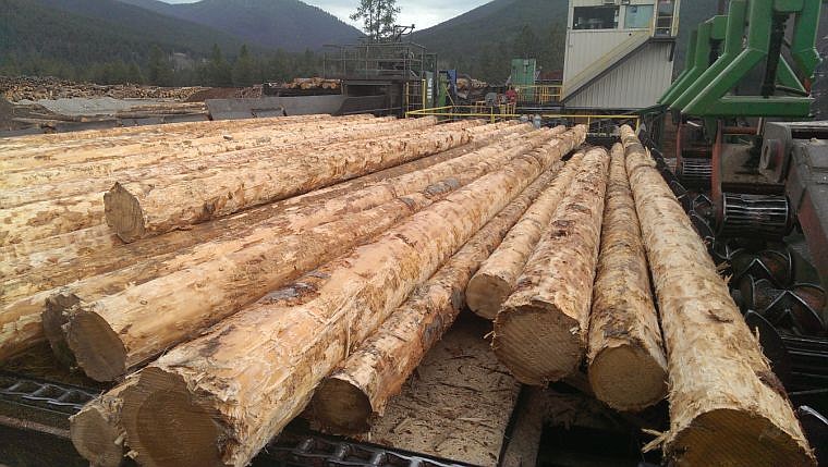 &lt;p&gt;Timber awaits processing at the Tricon plant in St. Regis.&#160;&lt;/p&gt;