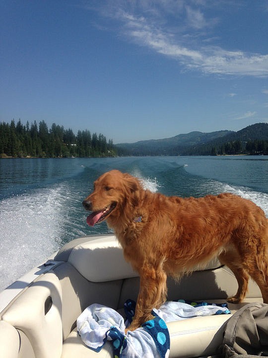 <p>Courtesy to The Press Emily enjoying the sunshine as she boats on Hayden Lake.</p>