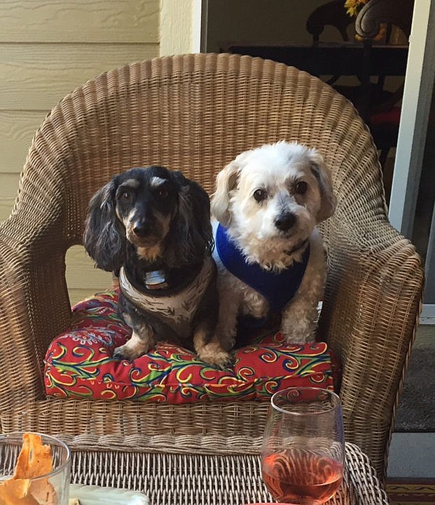 <p>Courtesy of Annette Davis Guido, left, hangs out with Tiger on their owners' patio.</p>