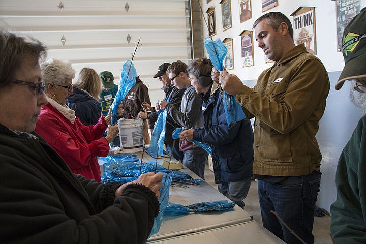 &lt;p&gt;Adam Fehling, a science teacher at Venture High School, helps to bag tree seedlings to be distributed to Kootenai County&#146;s fourth graders. Fehling grew up in Coeur d&#146;Alene and remembers when he got a seedling in fourth grade. His oldest child is in second grade, and he is excited for when his kids can get their seedlings.&lt;/p&gt;