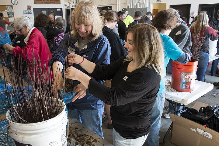 &lt;p&gt;LeAnn Abell, left, and Jordan Finch, 17, bag tree seedlings Monday to be distributed to Kootenai County&#146;s fourth graders to celebrate Arbor Day. The Arbor Day Program has bagged over 69,000 seedlings in the 30 years of its operation.&lt;/p&gt;