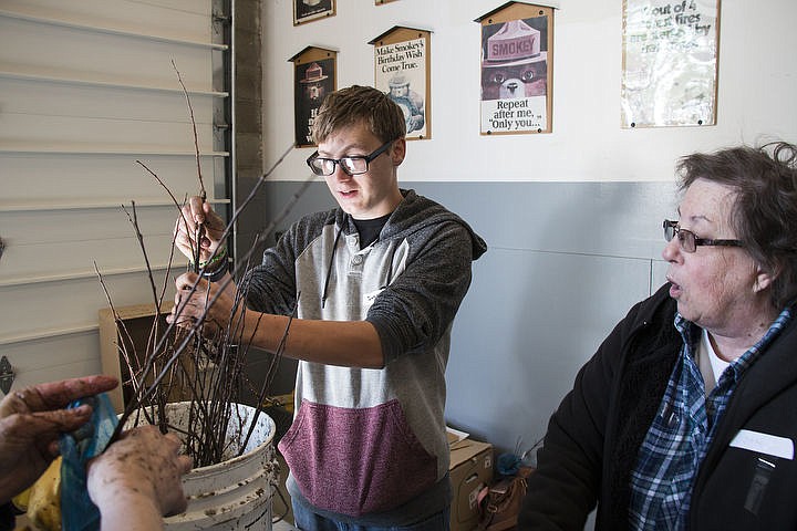&lt;p&gt;Danny Adamson, 19, bags tree seedlings with Joan Moore, another volunteer. Adamson is one of the students that came with Venture High School to volunteer. The seedlings will be given to Kootenai County&#146;s fourth graders in celebration of Arbor Day.&lt;/p&gt;