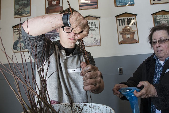 &lt;p&gt;Danny Adamson, 19, bags tree seedlings with Joan Moore, another volunteer. Adamson is one of the students that came with Venture High School to volunteer. The seedlings will be given to Kootenai County&#146;s fourth graders in celebration of Arbor Day.&lt;/p&gt;