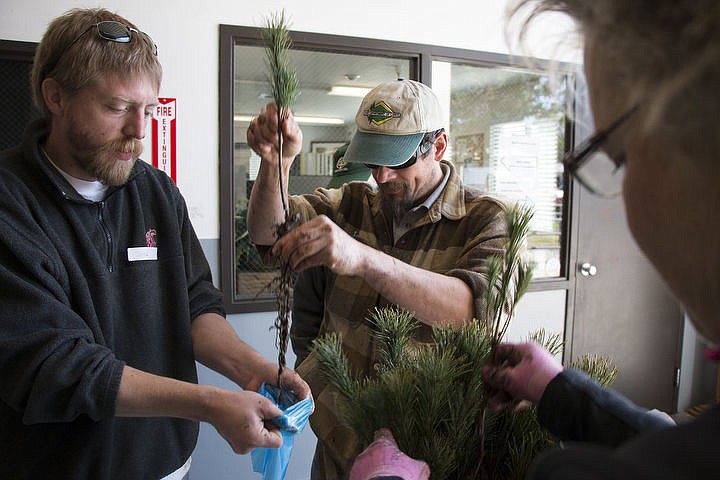 &lt;p&gt;Jered Bowman of the BLM, left, and David Luther of the Idaho Department of Lands, right, help bag tree seedlings Monday for the Arbor Day Program.&lt;/p&gt;
