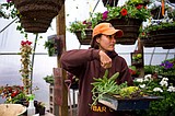 Vertical gardens produce 'living walls'