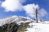 New web site features some of best trails in Montana
