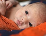 Sean Edwards Wilkinson II