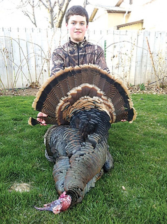 Ephrata's Dalton Thomas, 12 years old, was another successful turkey hunter on the youth hunt last weekend. His turkey weighted about 23 pounds and had a 9.5-inch beard. This was this third youth hunt, but his first successful one. Way to go Dalton.