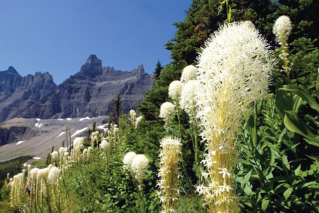 Iceberg Lake