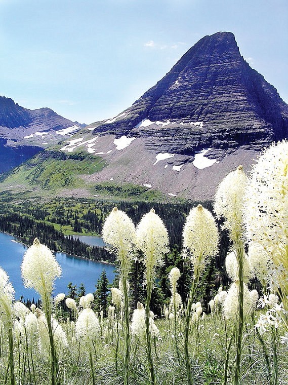 Glacier Park Centennial