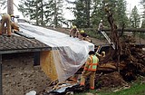 Tree falls through Echo Lake home