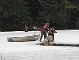 Men rescue cow elk from pond near Coram