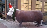 Have a cow, man