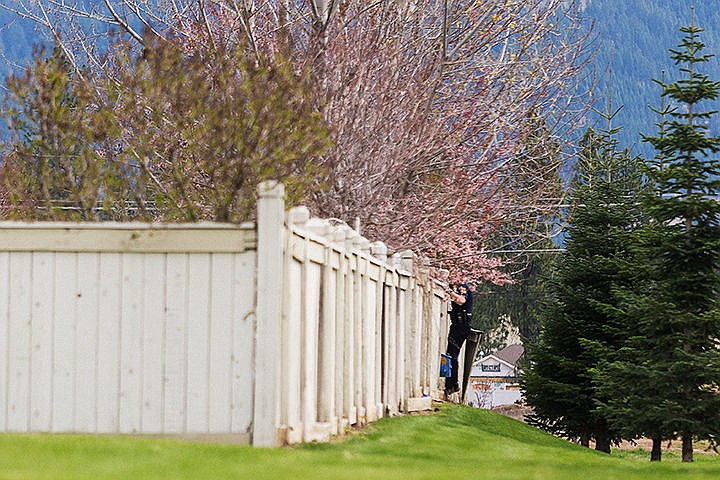 &lt;p&gt;An officer with the Coeur d&#146;Alene Police Department peeks over a fence while looking for a male in a neighborhood north of Hanley Avenue and Ramsey Road in Coeur d&#146;Alene. The search prompted the lockdown of Lake City High School, Skyway Elementary, Ramsey Elementary and Woodland Middle School.&lt;/p&gt;