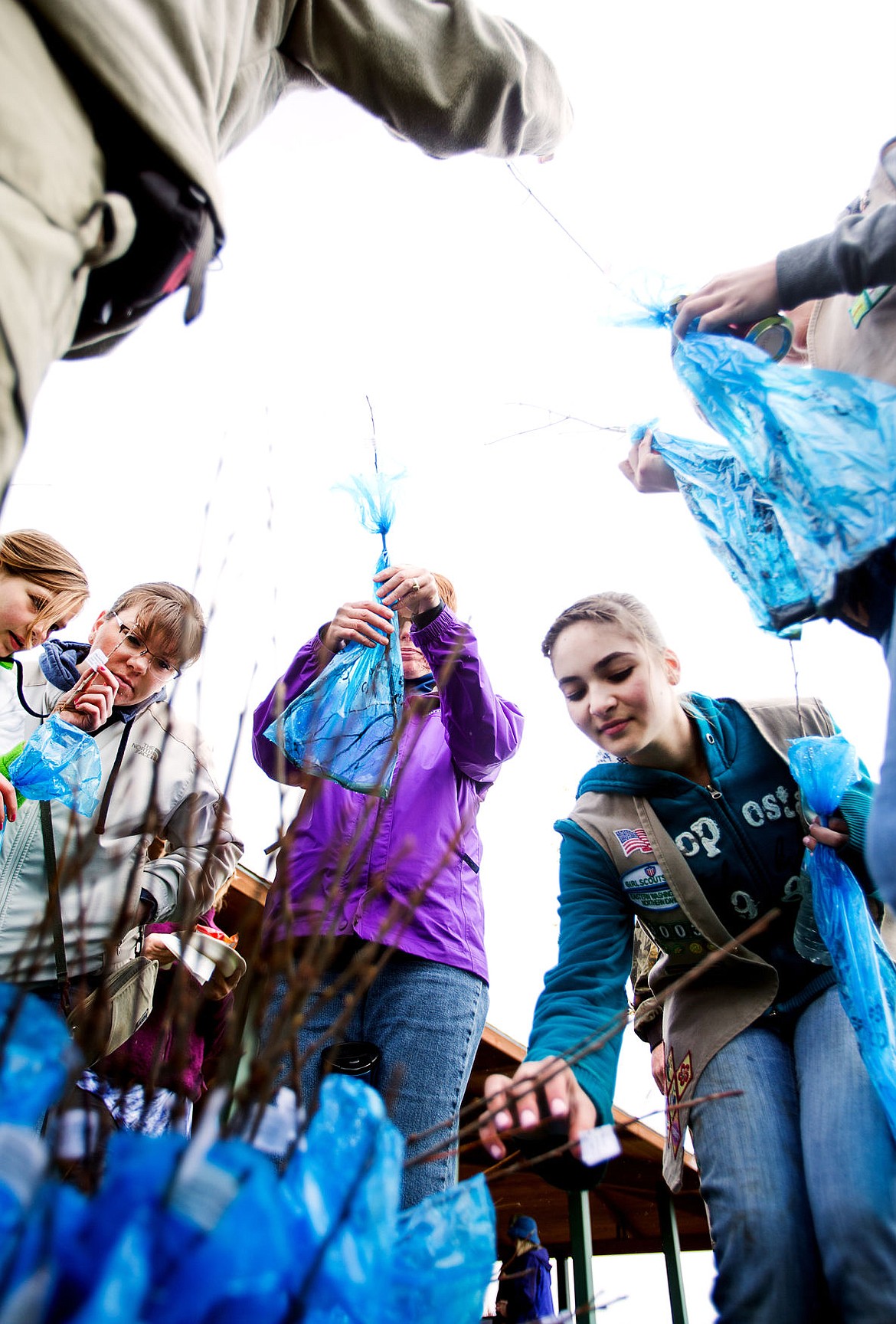 &lt;p&gt;Crista Falk, 14, reaches for a tree seedling at Landings Park in Coeur d&#146;Alene Saturday. The trees were distributed at the Arbor Day Celebration hosted by the city of Coeur d&#146;Alene.&lt;/p&gt;