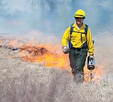 Prescribed fire boosts Park prairie