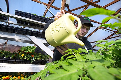 &lt;p&gt;GABE GREEN/Press&lt;/p&gt;&lt;p&gt;New Vision student Kole Hawkins waters tomato plants Tuesday in the school&#146;s greenhouse. New Vision's Seeds of Change plant sale will be Saturday, May 3 from 9 a.m. to noon at the school in Post Falls at 201 W. Mullan Ave.&lt;/p&gt;