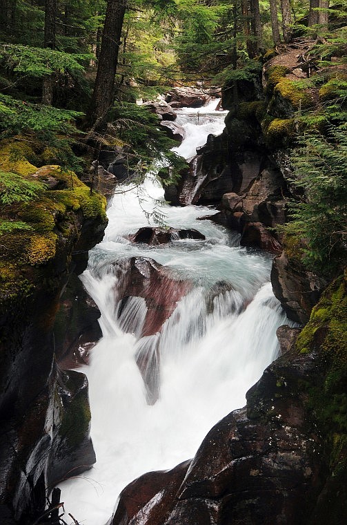 Nate Chute/Daily Inter Lake
Water rushes between rocks in Avalanche Creek.