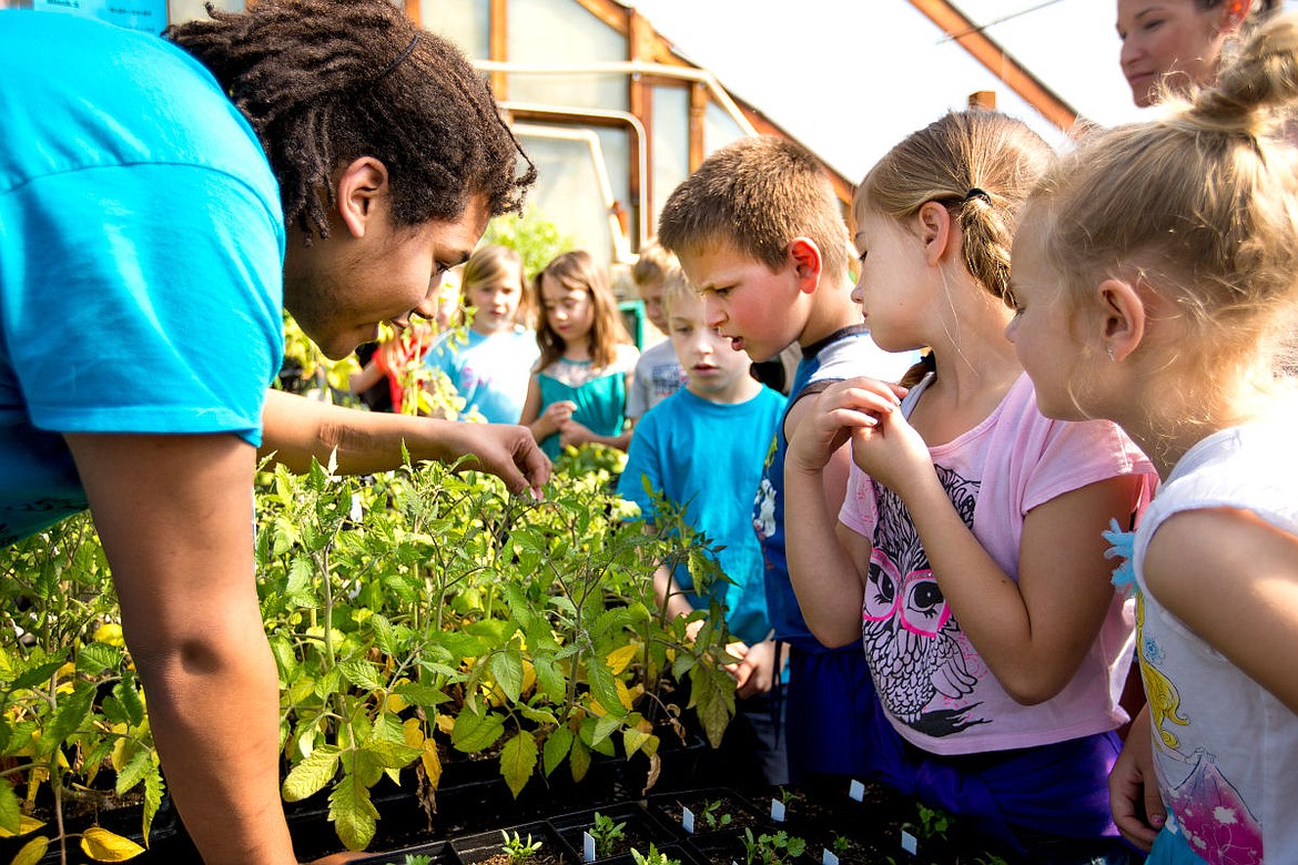 &lt;p&gt;New Visions High School junior Skyler Boyd explains to Mullan Trail Elementary School second-graders on Monday the importance of ladybugs for plants. The elementary school students visited New Visions to learn about the process of greenhouse growing.&lt;/p&gt;