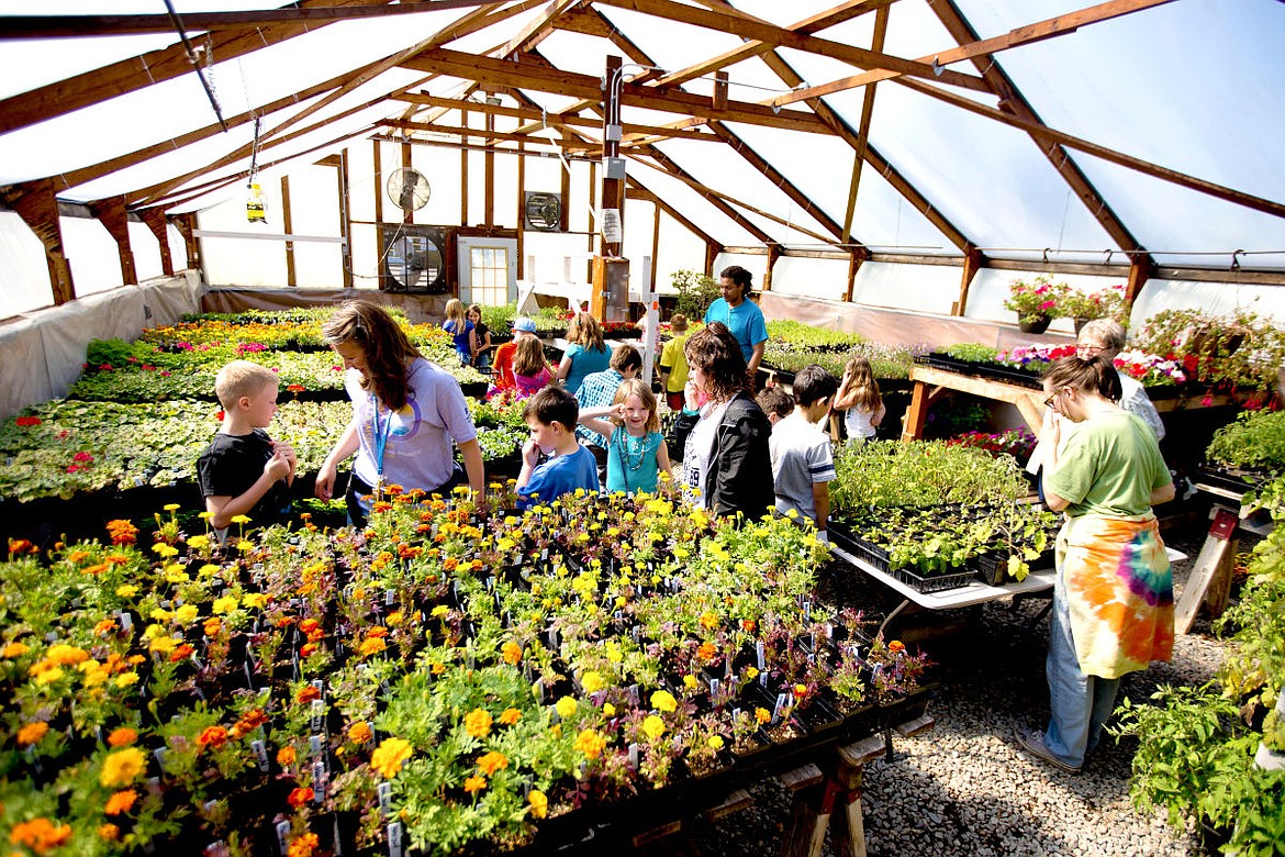 &lt;p&gt;Mullan Trail Elementary School students and their teachers explore the greenhouse at New Visions High School on Monday.&lt;/p&gt;