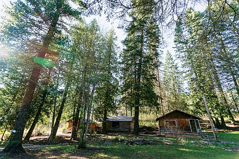 &lt;p&gt;The three smaller cabins at the previous Chef in the Forest site are nestled near a creek and surrounded by tall pine trees.&lt;/p&gt;