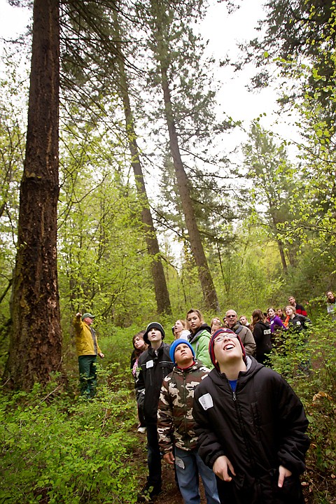 &lt;p&gt;JEROME A. POLLOS/Press Mark Clayton looks up at the tall trees surrounding his class from Prairie View Elementary as they hike through Q'emiln Park during a fifth grade field trip Wednesday. During the outing students learned about the ecosystem of the park, the birds of prey that live in the area, wild land firefighting, and the life of a salmon.&lt;/p&gt;