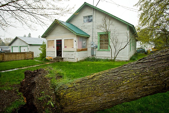 &lt;p&gt;A tree was blown over and snapped loose from its roots at fell onto a power line at a home on Dalton Avenue.&lt;/p&gt;