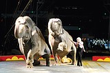 Shriners Circus comes to Moses Lake