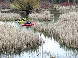 River may edge flood level
