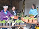 Earth Angels Garden Club has best plant sale yet