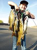 Fresh News From MarDon: 2012 Rod Meseberg Spring Walleye Classic