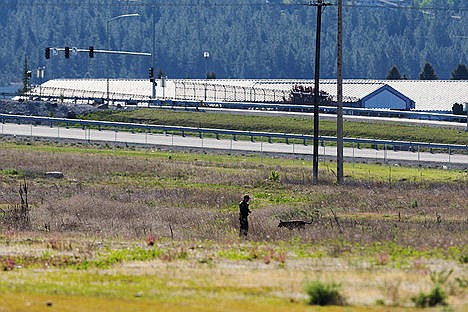 &lt;p&gt;A deputy with the Kootenai County Sheriff&#146;s Office and his K-9 search for evidence in a field between Pointe Parkway and the Beck Road on-ramp at Interstate-90.&lt;/p&gt;