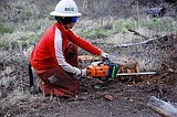 Trail work ongoing in Herron Park
