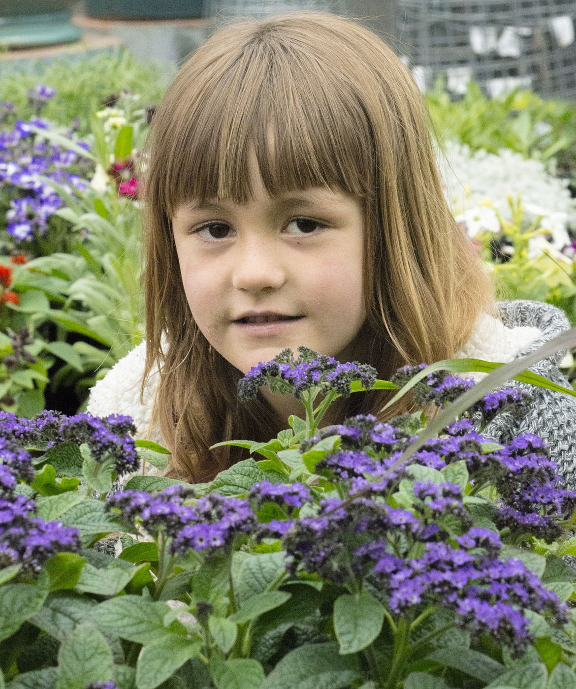 &lt;p&gt;Ellianna O'Brien peeks over some flowers.&lt;/p&gt;