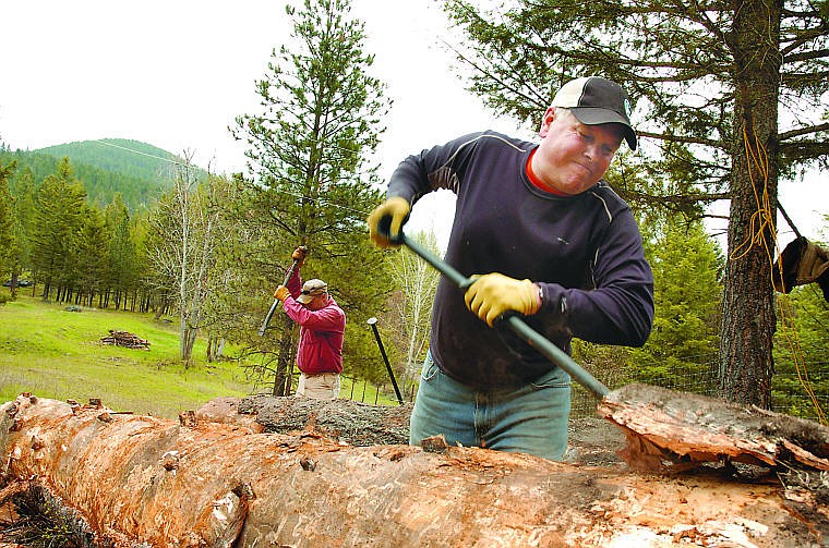 &lt;p&gt;Kevin Barrows, right, and Tug Leberman peel logs in preparation for the Spartan Race May 11 near Bigfork. Race officials began arriving at Flathead Lake Lodge property Thursday and will begin setting up the obstacle adventure course this weekend. Next week&#146;s race will involve more than 4,000 participants.&lt;/p&gt;