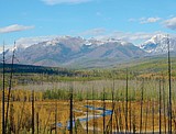 Logging along North Fork Road will start this fall