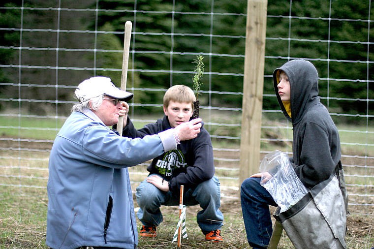 &lt;p&gt;Carole Johnson teaches students how to plant trees.&lt;/p&gt;