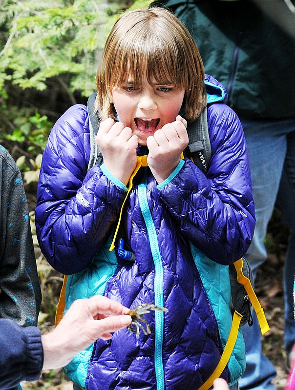 &lt;p&gt;&lt;strong&gt;Edgerton fifth-grade&lt;/strong&gt;r Summer Krantz reacts as John Fraley of Montana Fish, Wildlife and Parks show a crayfish during the Family Forestry Expo at Trumbull Creek Experimental Forest on Friday. (Aaric Bryan/Daily Inter Lake)&lt;/p&gt;