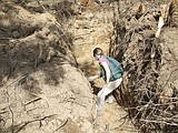 Maintained septic systems can save you headaches, money
