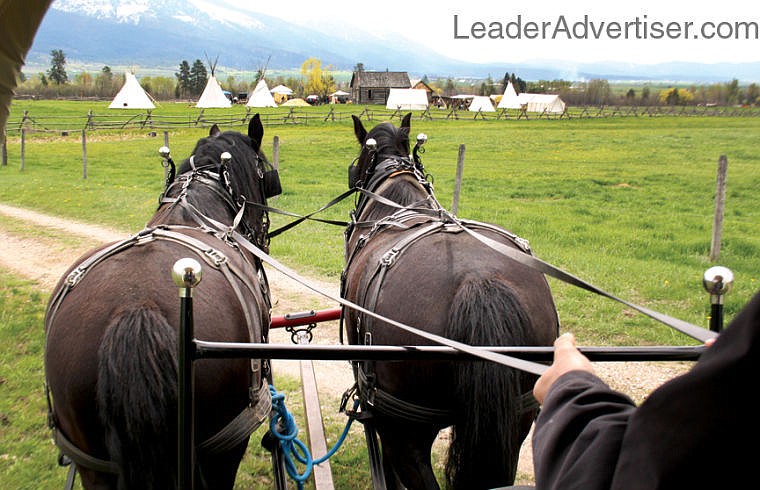 &lt;p&gt;Marvin Troyer of St. Ignatius drives &quot;Phoebe&quot; and &quot;Willow&quot; both Percherons, during Saturday's living history tour at Fort Connah. A ride in a modern covered wagon was one of several events featured at Fort Connah Restoration Society's tribute to George Knapp.&#160;&lt;/p&gt;