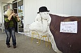 The cow came home