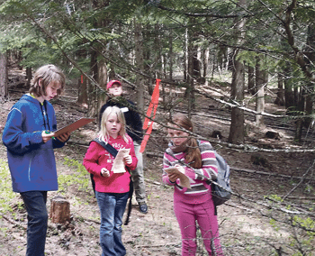 &lt;p&gt;Students puzzle out one of the competition stations in the Idaho State Forestry Contest. (Courtesy photo)&lt;/p&gt;