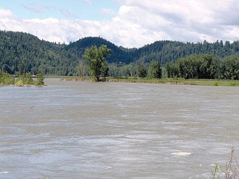 &#151;COURTESY PHOTO&lt;br&gt;This picture shows the Kootenai River as it begins to crest the riverbank bordering Bill Michaulk's property. Taken on June 17, 2006, this was the first day the river reached the official flood stage of 1764 and in the following five days, it would rise more than two feet before finally receding on June 22.